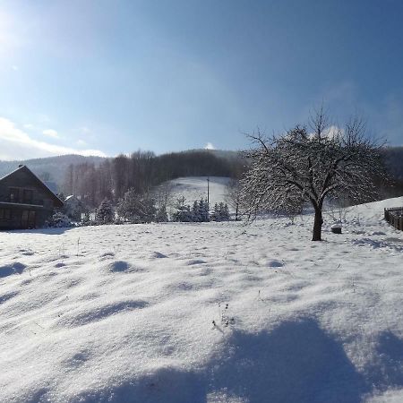 Dom u Janiny Villa Sulkowice  Bagian luar foto